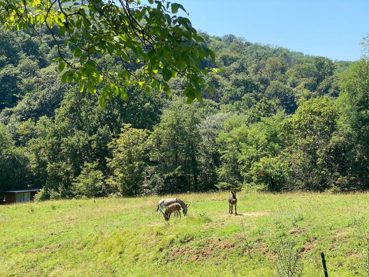 Agriturismo Grammelot Sarnico Kültér fotó